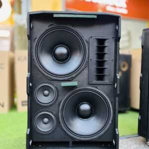 Loa kéo bass 30 đôi dp 06 viral
